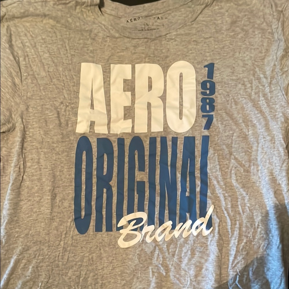 Aero Original Graphic Tee in Gray and Blue
